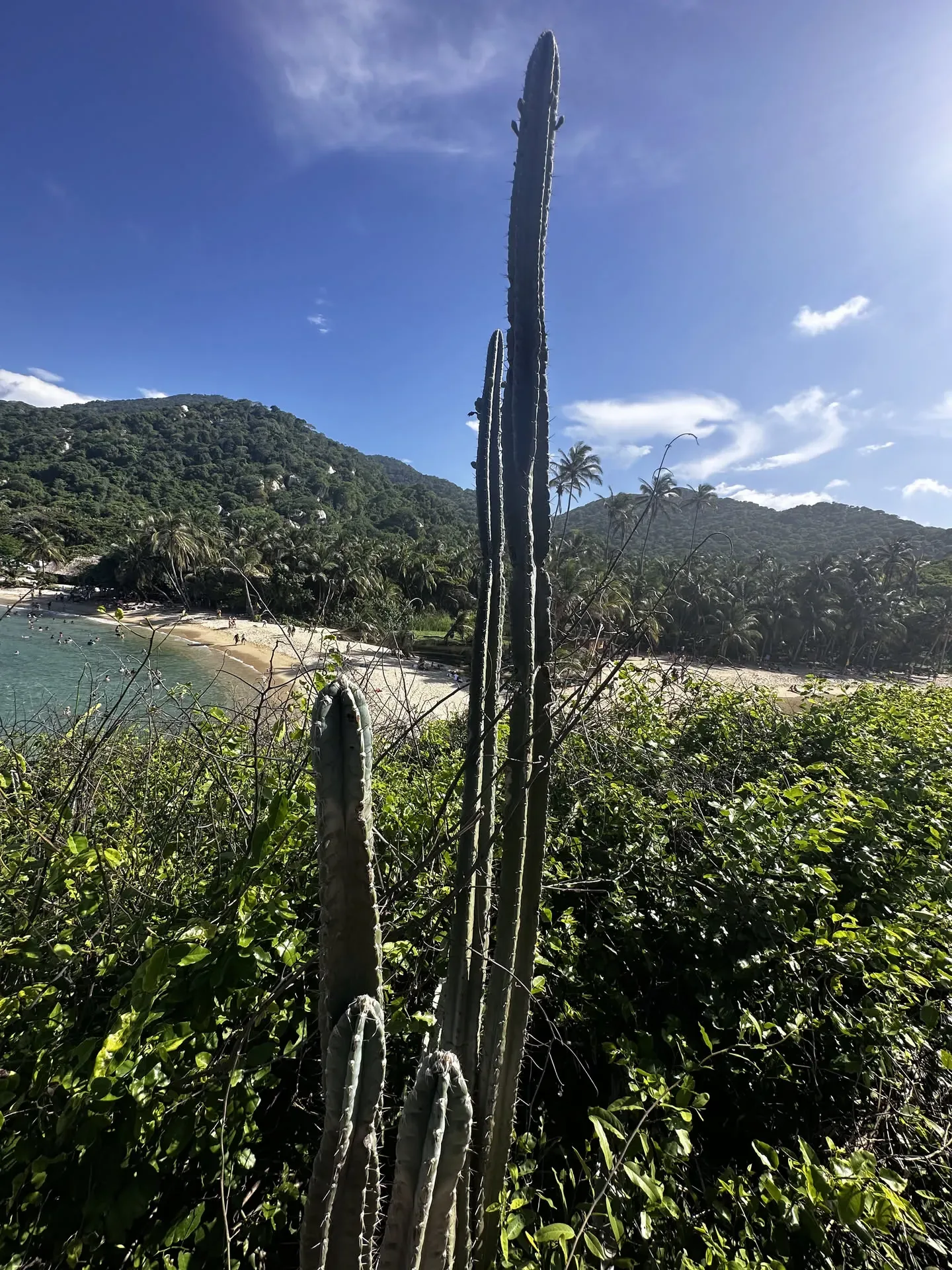 Boulders and jungle meeting the sea in Parque Tayrona