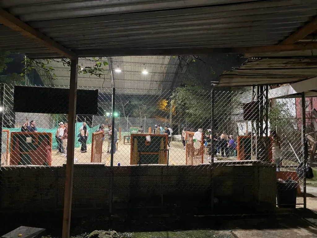 People gathered in a covered outdoor area at night.